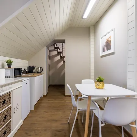 Enjoy Old Town Vibes In 1716 Laipu With 4 Stylish And 1 Penthouse Рига