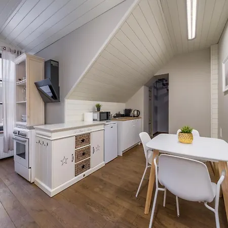 Enjoy Old Town Vibes In 1716 Laipu With 4 Stylish And 1 Penthouse Ρίγα